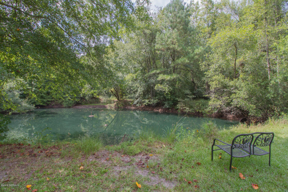 244 Racoon Hollow Rd, Atkinson, NC 28421 photo 21