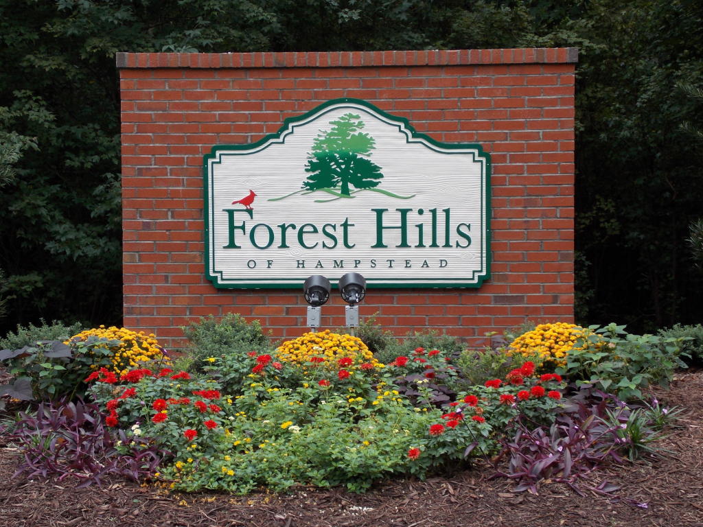 245 Orchard Mill Rd, Hampstead, NC 28443 photo 24