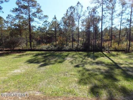 245 Orchard Mill Rd, Hampstead, NC 28443 photo 21