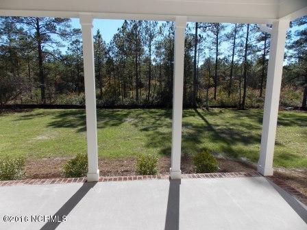 245 Orchard Mill Rd, Hampstead, NC 28443 photo 20