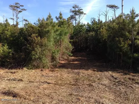 310 Quiet Cv, Gloucester, NC 28528 photo 28