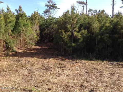 310 Quiet Cv, Gloucester, NC 28528 photo 19