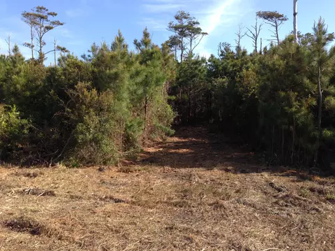 310 Quiet Cv, Gloucester, NC 28528 photo 18