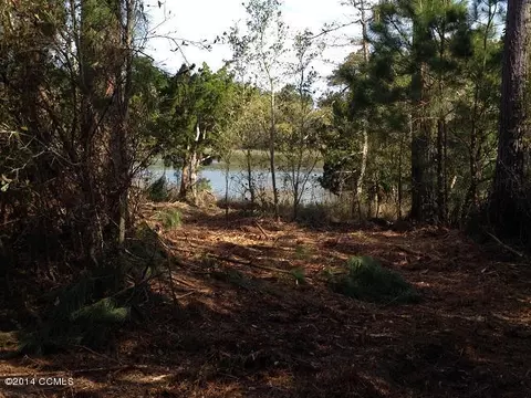 310 Quiet Cv, Gloucester, NC 28528 photo 22