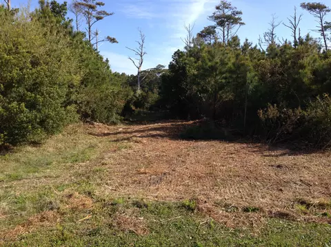 310 Quiet Cv, Gloucester, NC 28528 photo 16