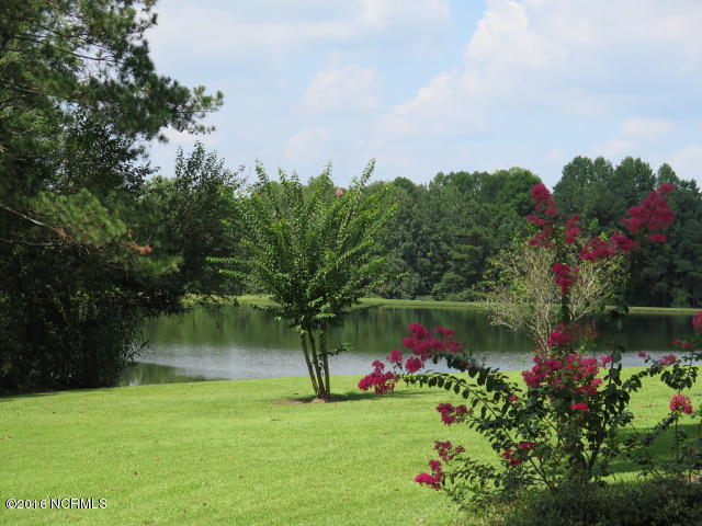 203 E Arrowhead Dr, Clinton, NC 28328 photo 8