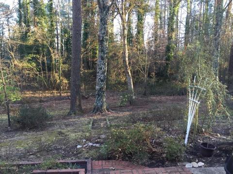 309 E Franklin St, Williamston, NC 27892 photo 4