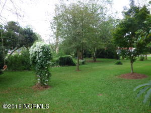 25 Giddeons Pond Rd, Willard, NC 28478 photo 11