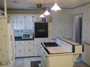 25 Giddeons Pond Rd, Willard, NC 28478 photo 15