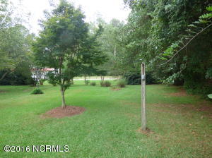 25 Giddeons Pond Rd, Willard, NC 28478 photo 12