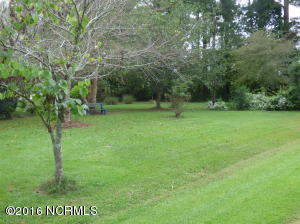 25 Giddeons Pond Rd, Willard, NC 28478 photo 4