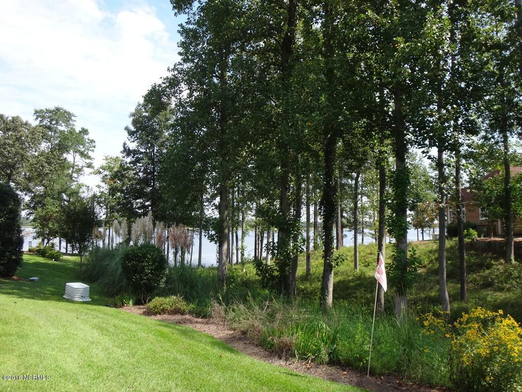 113 Bay Ridge Dr, Chocowinity, NC 27817 photo 3