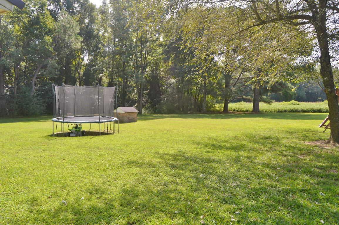 4929 Pelham Rd, Willard, NC 28478 photo 15