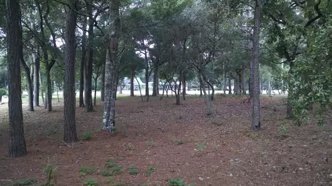 336 Heather Dr, Sunset Beach, NC 28468 photo 3