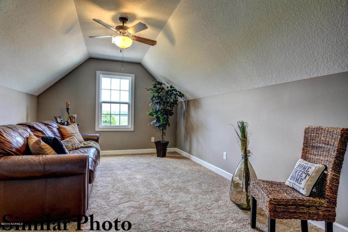 3008 Mill Pond Rd, Deep Run, NC 28525 photo 23