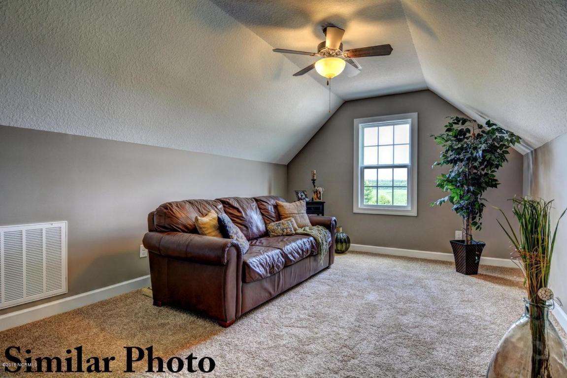 3008 Mill Pond Rd, Deep Run, NC 28525 photo 22