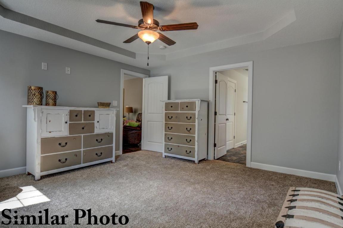 3008 Mill Pond Rd, Deep Run, NC 28525 photo 14