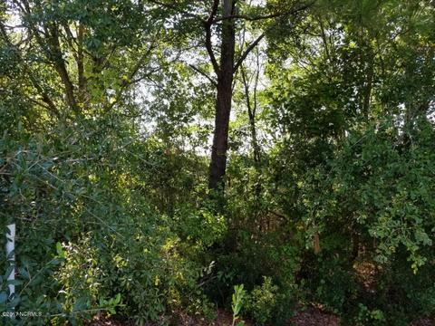 169 Deepwater Dr, Stella, NC 28582 photo 55