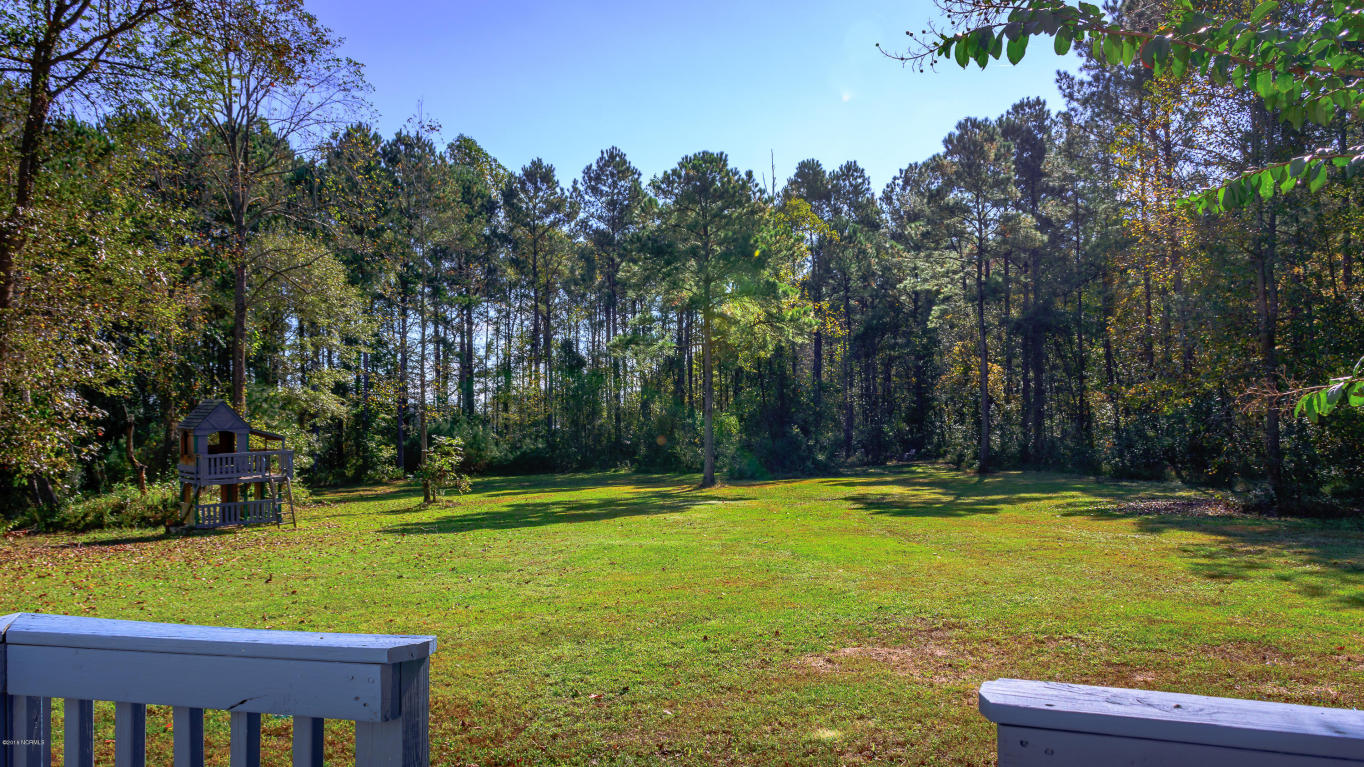 312 Vito Ct, Richlands, NC 28574 photo 9