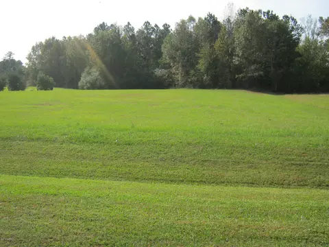 1070 Cedar Point Dr, Williamston, NC 27892 photo 5