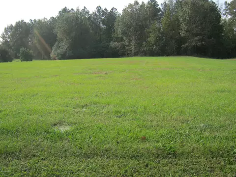 1070 Cedar Point Dr, Williamston, NC 27892 photo 3