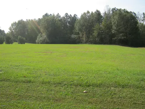 1070 Cedar Point Dr, Williamston, NC 27892 photo 7