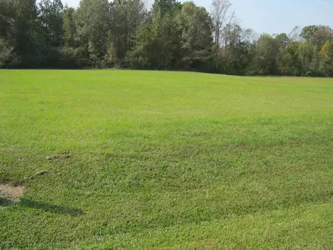 1070 Cedar Point Dr, Williamston, NC 27892 photo 6