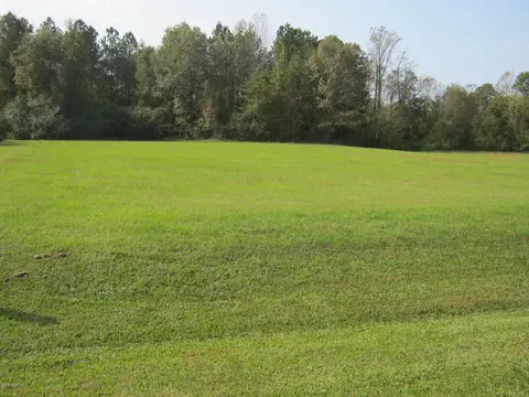 1070 Cedar Point Dr, Williamston, NC 27892 photo 2