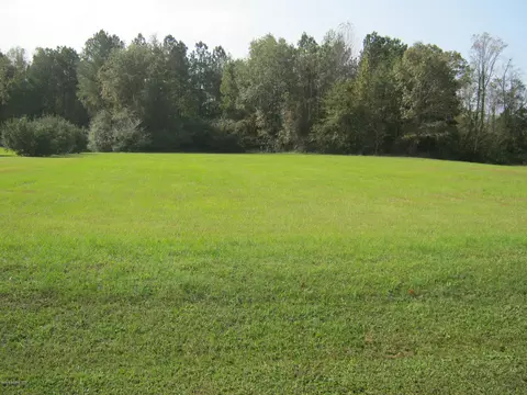 1070 Cedar Point Dr, Williamston, NC 27892 photo 4