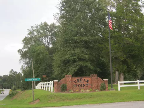 1070 Cedar Point Dr, Williamston, NC 27892 photo 15