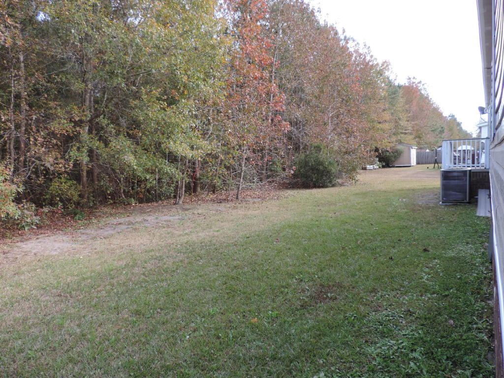 116 Split Oak Way, New Bern, NC 28562 photo 19