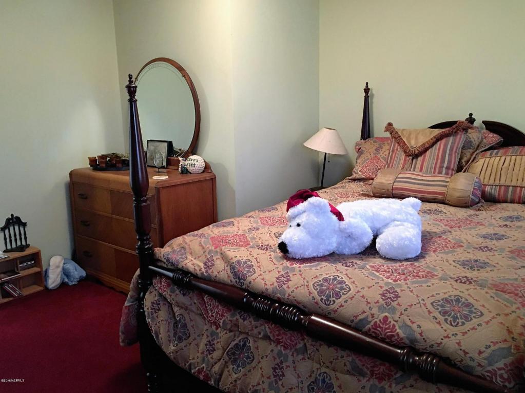 9515 Willard Rd, Willard, NC 28478 photo 36