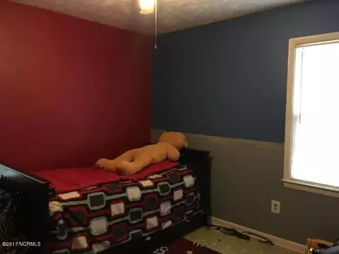 120 Eldon Thornton Rd, Faison, NC 28341 photo 5