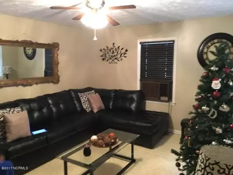 120 Eldon Thornton Rd, Faison, NC 28341 photo 2