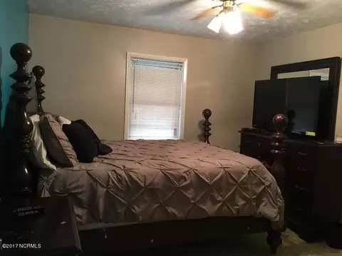 120 Eldon Thornton Rd, Faison, NC 28341 photo 6