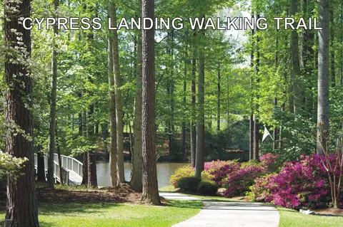 115 Trent Ln, Chocowinity, NC 27817 photo 42