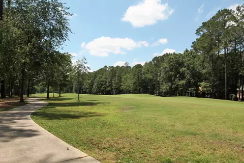115 Trent Ln, Chocowinity, NC 27817 photo 32