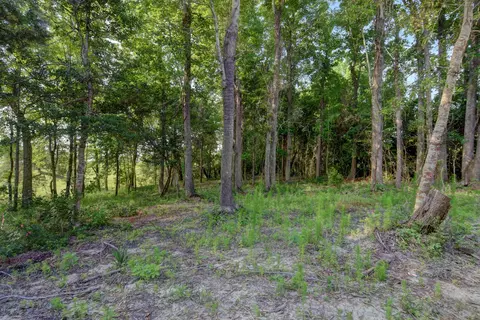 403 Aster Pl, Hampstead, NC 28443 photo 34