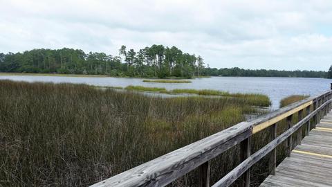 122 Canvasback Pt, Hampstead, NC 28443 photo 39