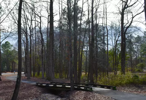 224 Cellars Way, Wallace, NC 28466 photo 8