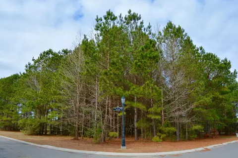 224 Cellars Way, Wallace, NC 28466 photo 2