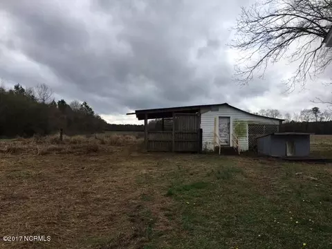 4234 Nc Highway 210 E, Harrells, NC 28444 photo 9