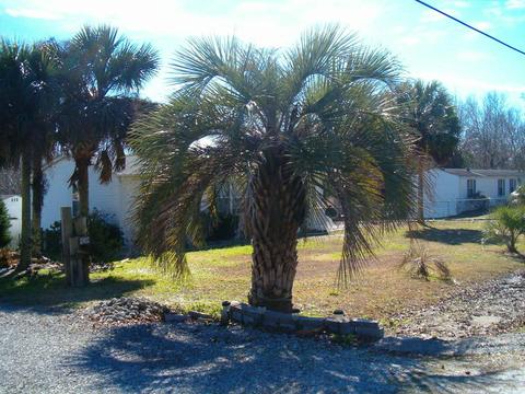 148 Bahama Dr, Hampstead, NC 28443 photo 17