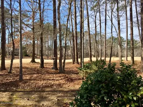 926 Potomac Dr, Chocowinity, NC 27817 photo 28