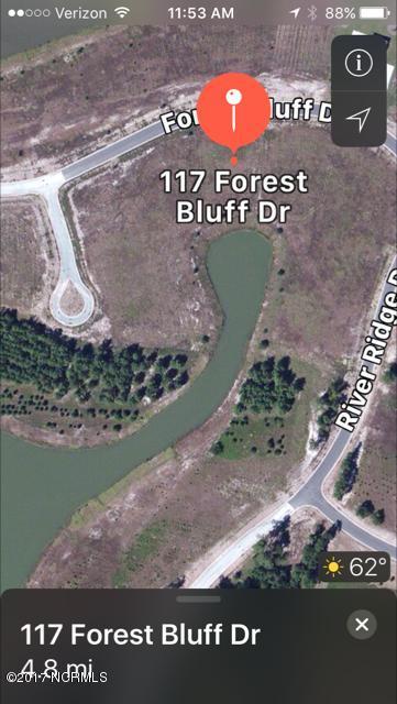 117 Forest Bluff Dr, Wallace, NC 28466 photo 1