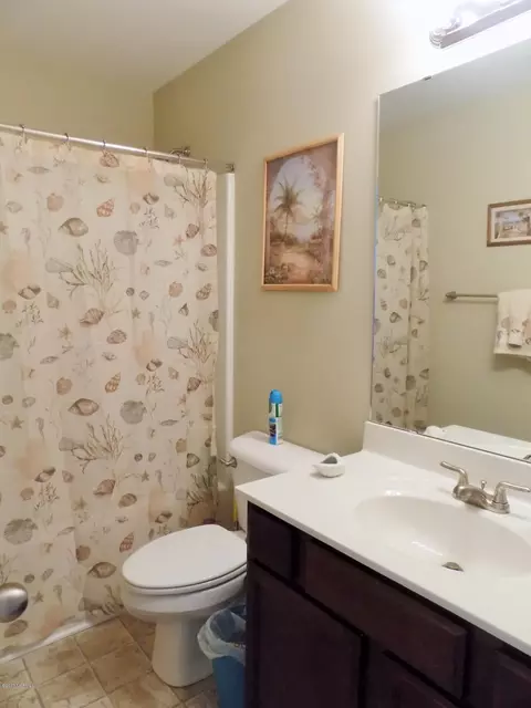 207 Willow Bridge Dr, Stella, NC 28582 photo 29