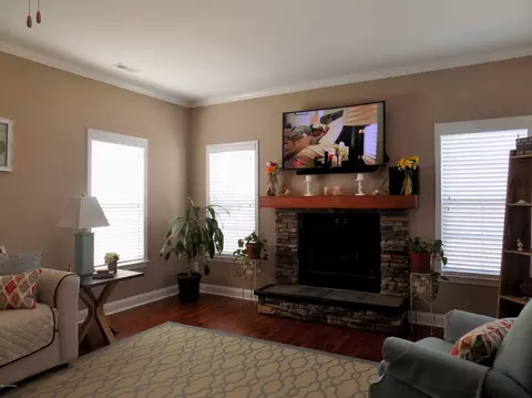 207 Willow Bridge Dr, Stella, NC 28582 photo 18