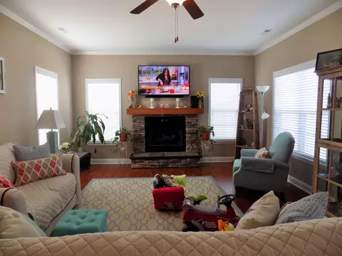 207 Willow Bridge Dr, Stella, NC 28582 photo 17