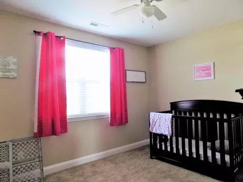 207 Willow Bridge Dr, Stella, NC 28582 photo 30