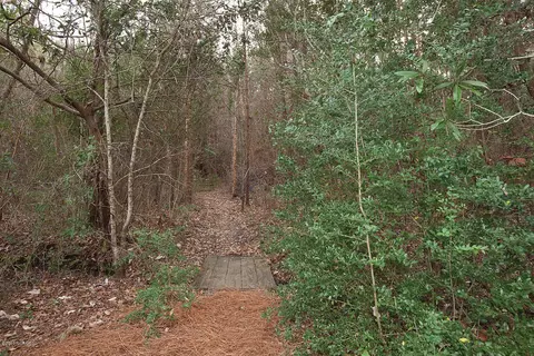 126 Pine Needle Dr, Hampstead, NC 28443 photo 42